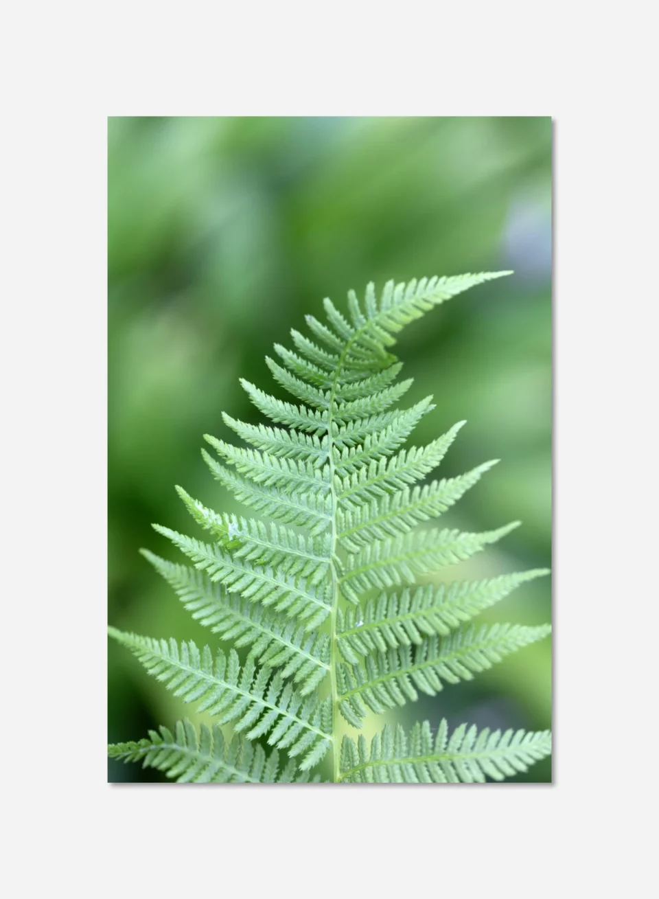 16f4325d-ad97-4fcf-b283-e6f576e58d4f