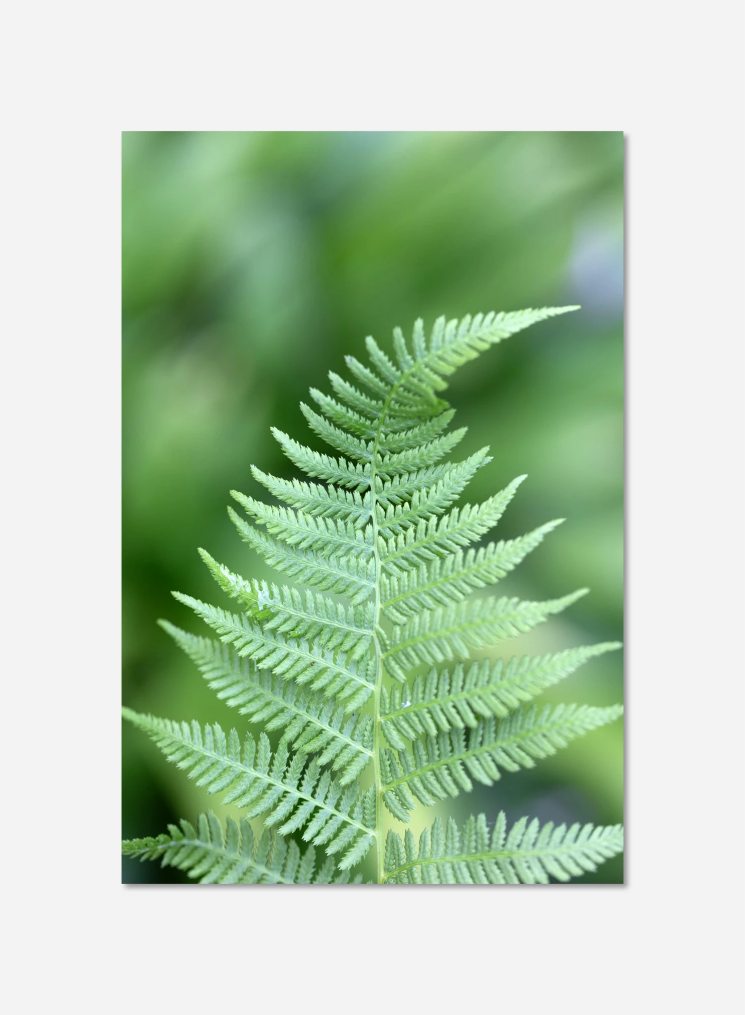 16f4325d-ad97-4fcf-b283-e6f576e58d4f