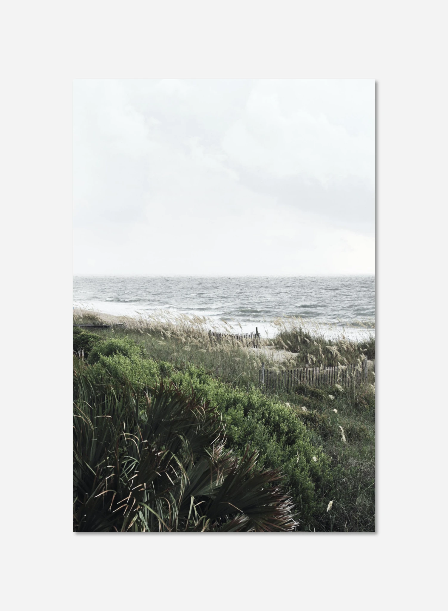 dc0867b1-4db6-42a9-b679-f1d79e1fd72a