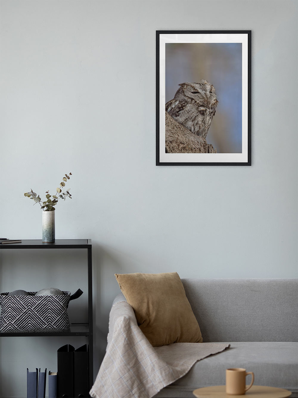 Hibou – Image 2