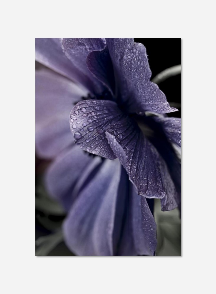 Fleur