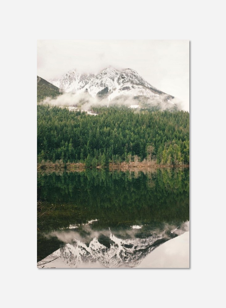 Foret