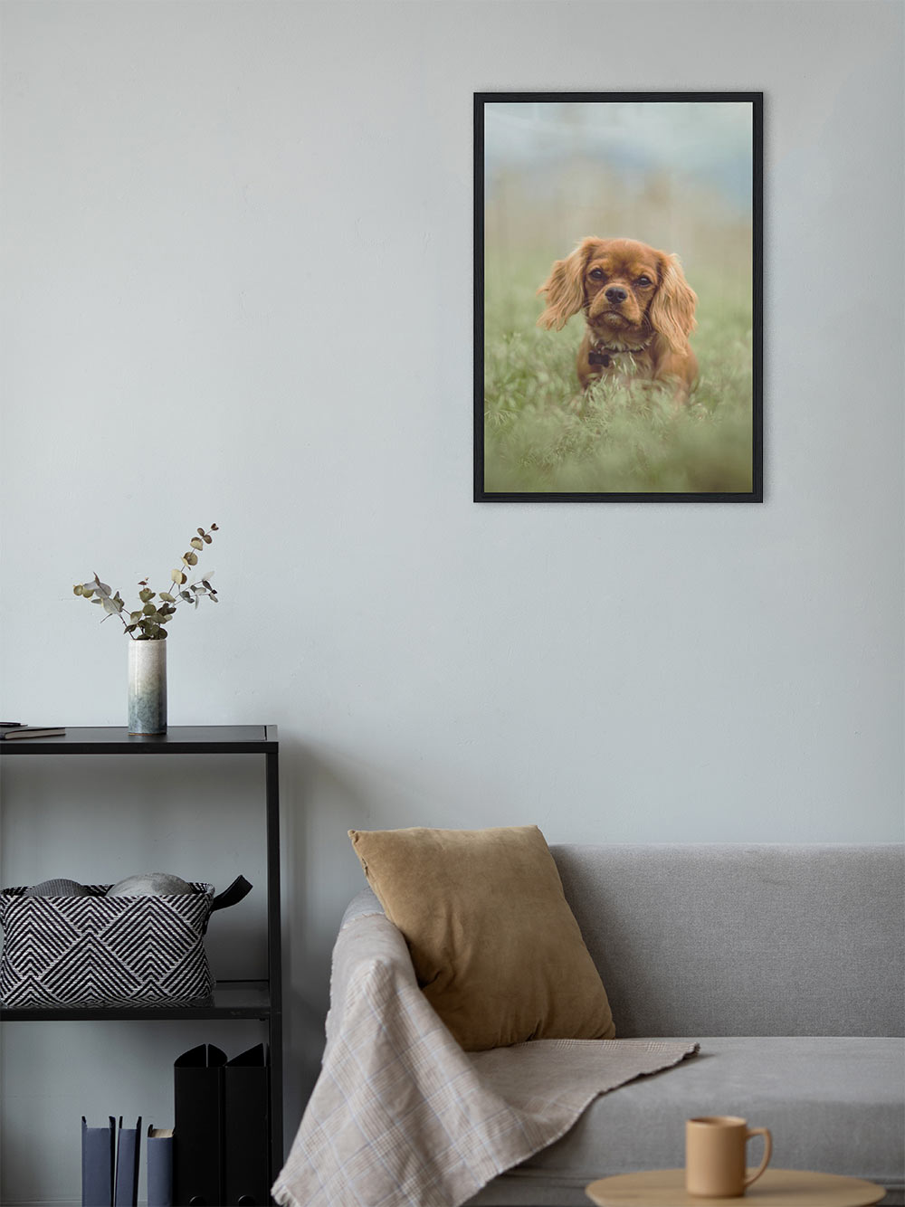 Chien – Image 2